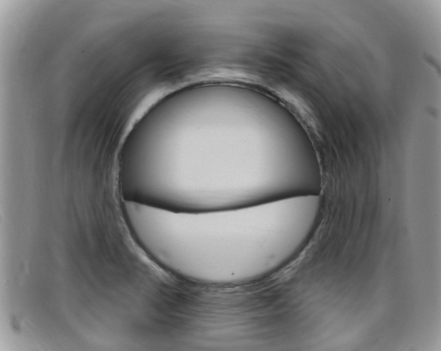 X0000099441374200805090739