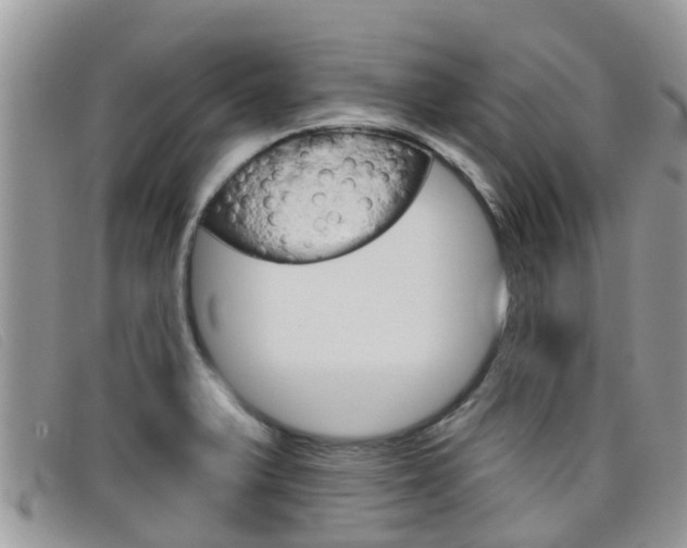 X0000099441375200805090739