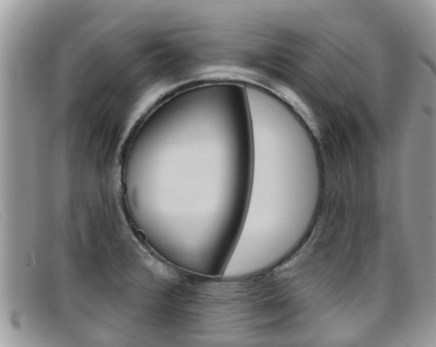 X0000099441376200805090739
