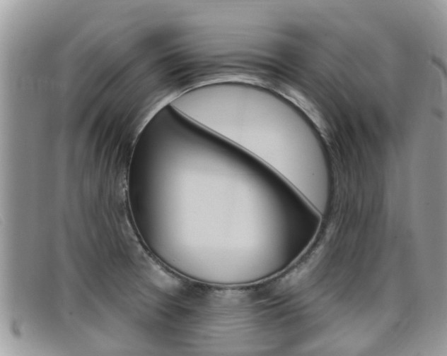 X0000099441377200805090739