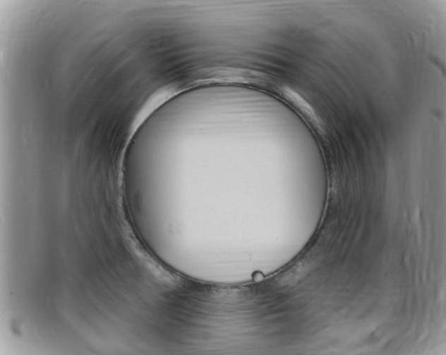X0000099441378200805090739