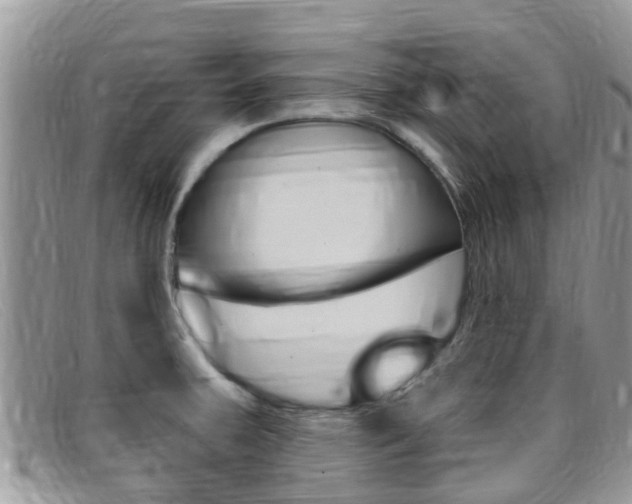 X0000099441379200805090739