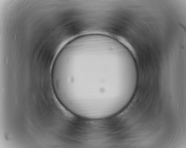 X0000099441380200805090739