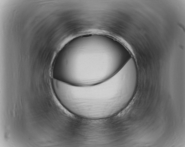 X0000099441381200805090739