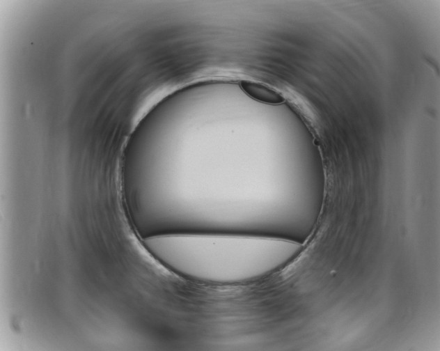 X0000099441382200805090739
