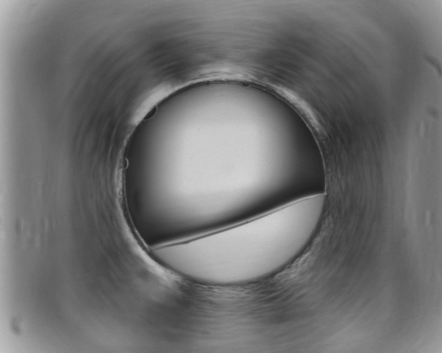 X0000099441383200805090739
