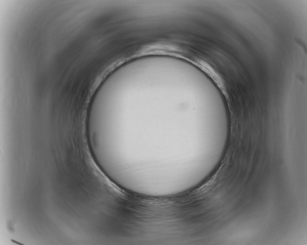 X0000099441384200805090739
