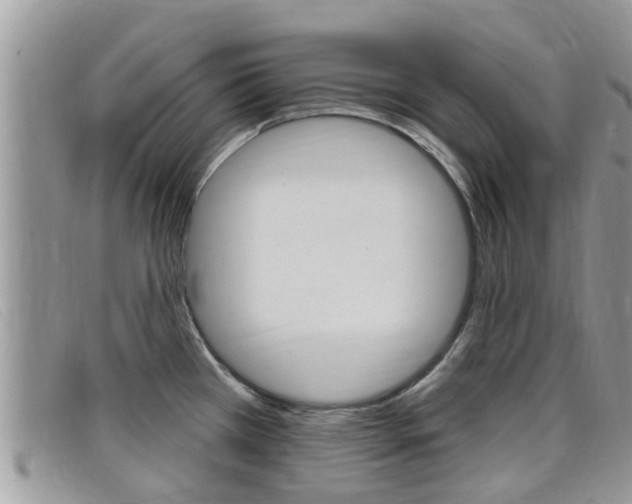 X0000099441385200805090738