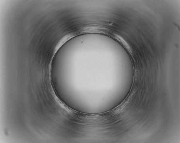 X0000099441386200805090738