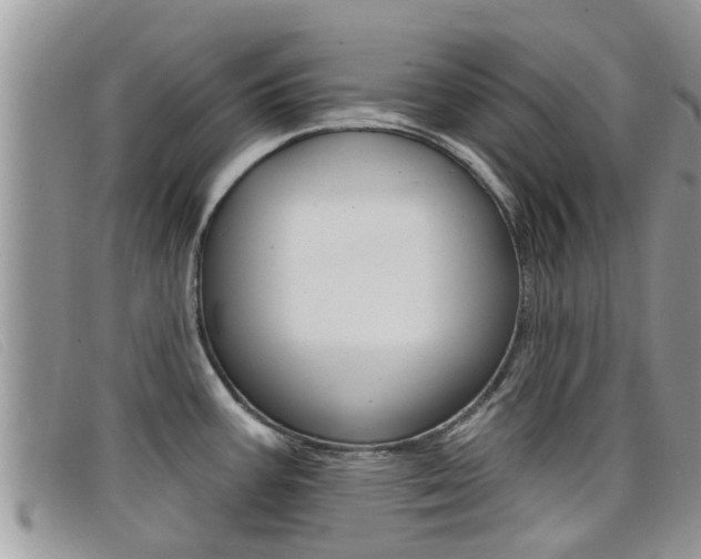 X0000099441387200805090738