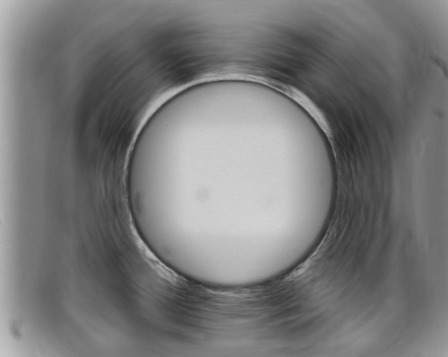 X0000099441388200805090738