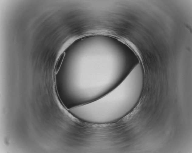 X0000099441389200805090738