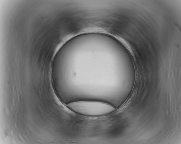 X0000099441390200805090738