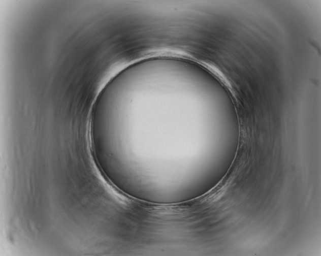 X0000099441391200805090738