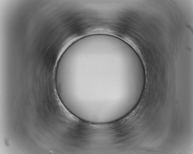 X0000099441392200805090738