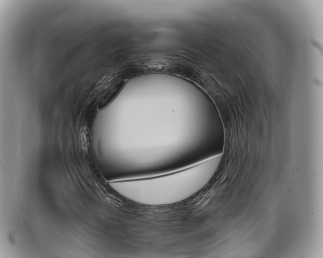 X0000099441394200805090738