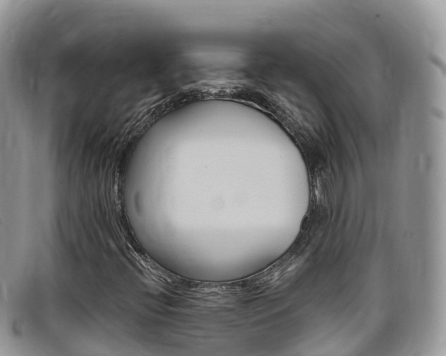 X0000099441396200805090738