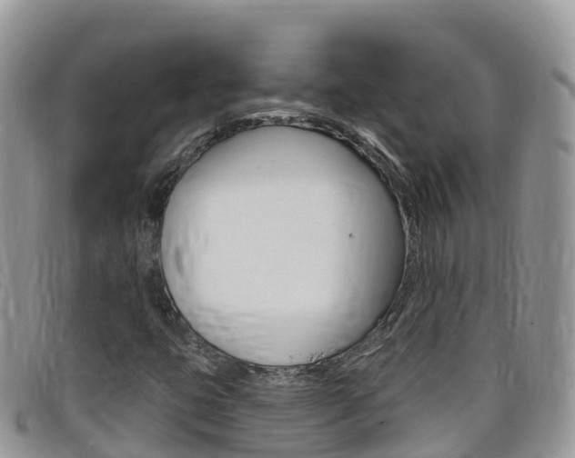 X0000099441399200805090738