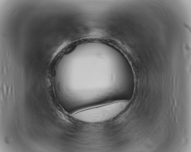 X0000099441400200805090738