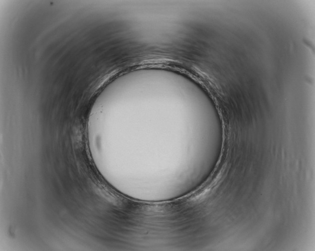 X0000099441401200805090738
