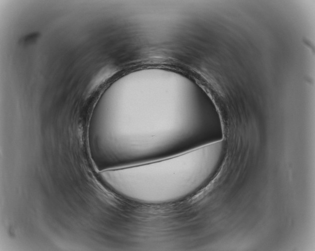 X0000099441402200805090738