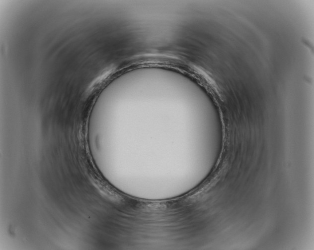 X0000099441403200805090738