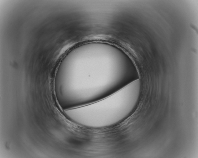 X0000099441404200805090738