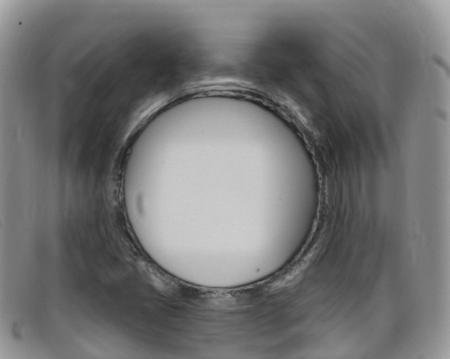 X0000099441405200805090738