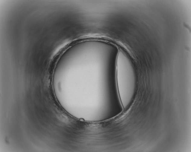 X0000099441406200805090738