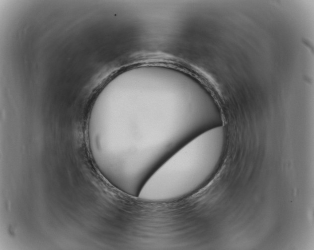 X0000099441407200805090738