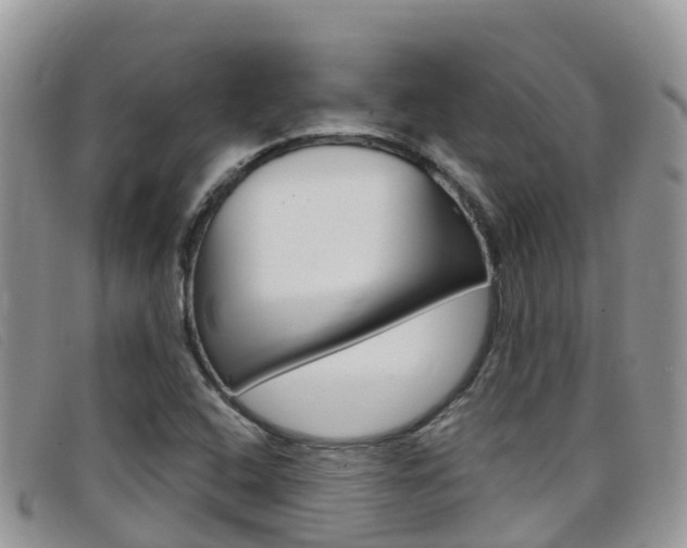 X0000099441408200805090738