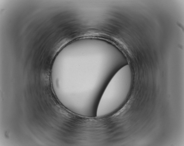 X0000099441409200805090738