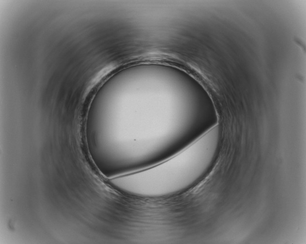 X0000099441410200805090738