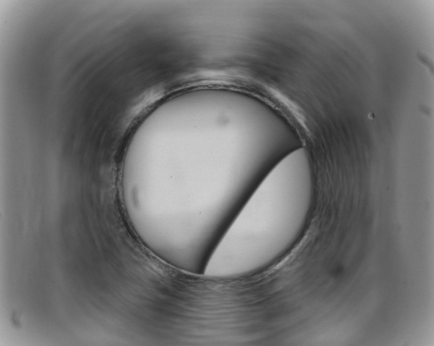 X0000099441411200805090738