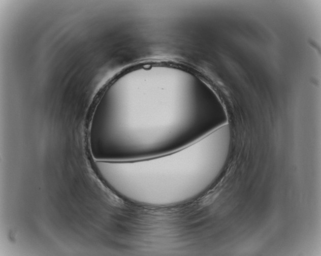 X0000099441412200805090738