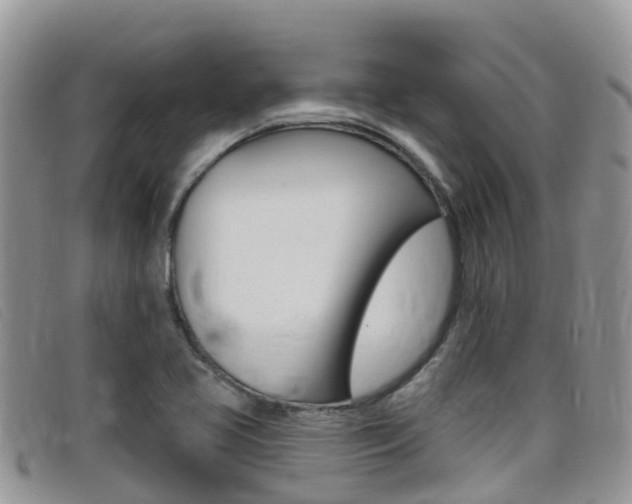 X0000099441413200805090738