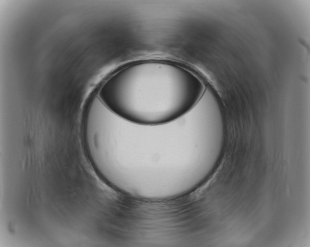 X0000099441414200805090738