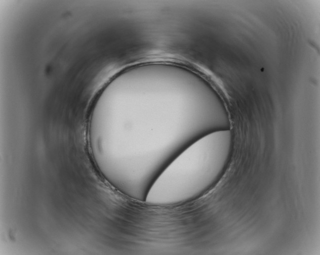 X0000099441415200805090738