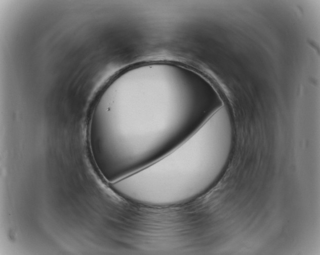 X0000099441416200805090738