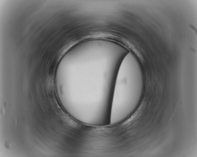 X0000099441417200805090738