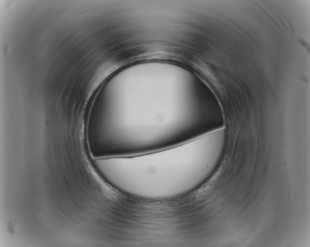 X0000099441418200805090738