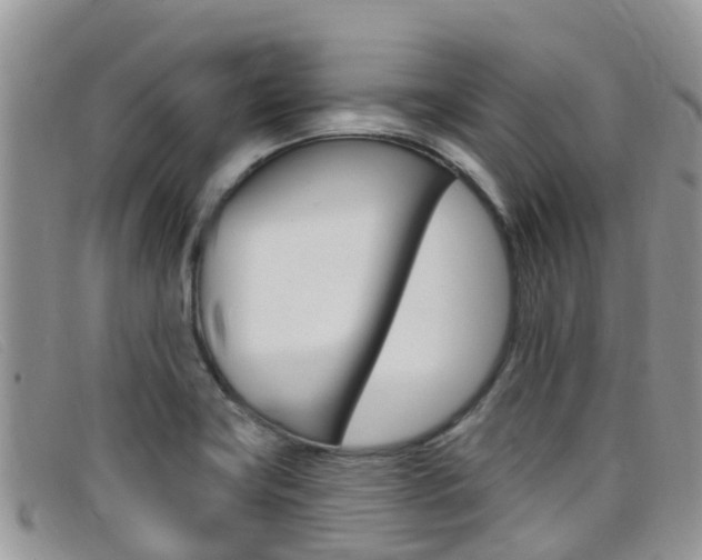 X0000099441419200805090738