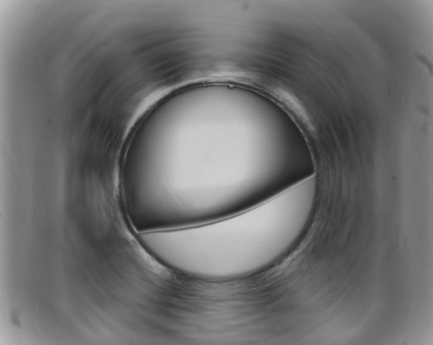 X0000099441420200805090738