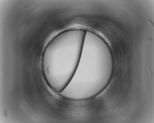 X0000099441421200805090738