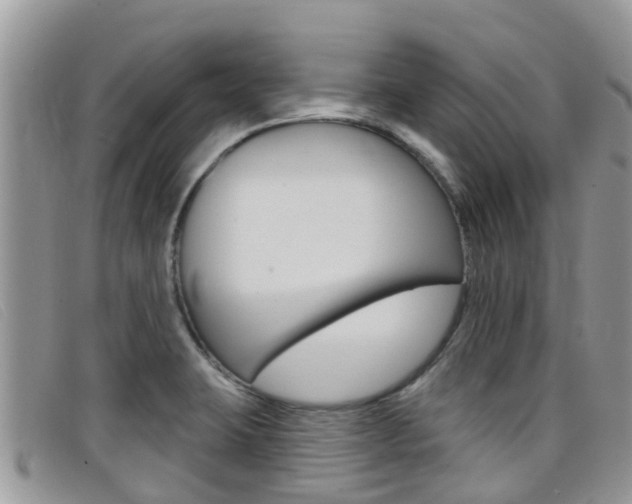 X0000099441423200805090738