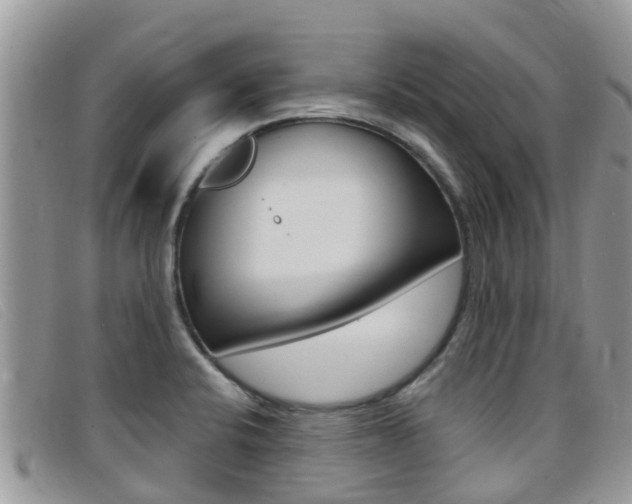 X0000099441424200805090738