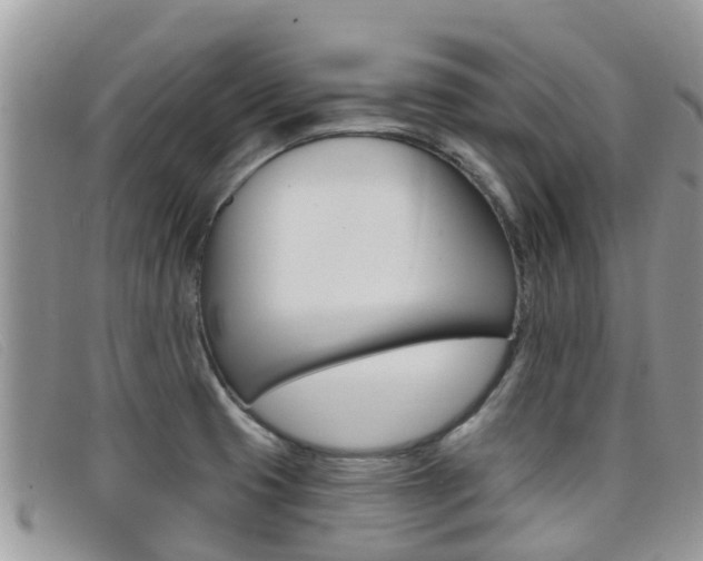X0000099441425200805090738