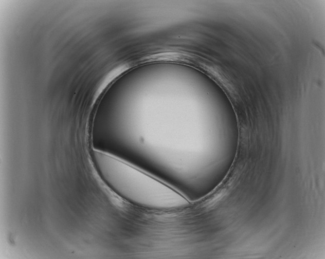 X0000099441426200805090738