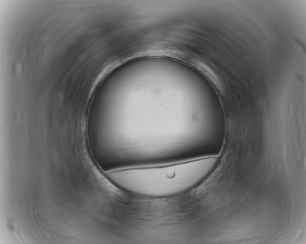 X0000099441428200805090738