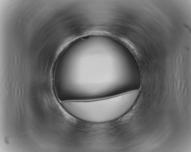 X0000099441430200805090738